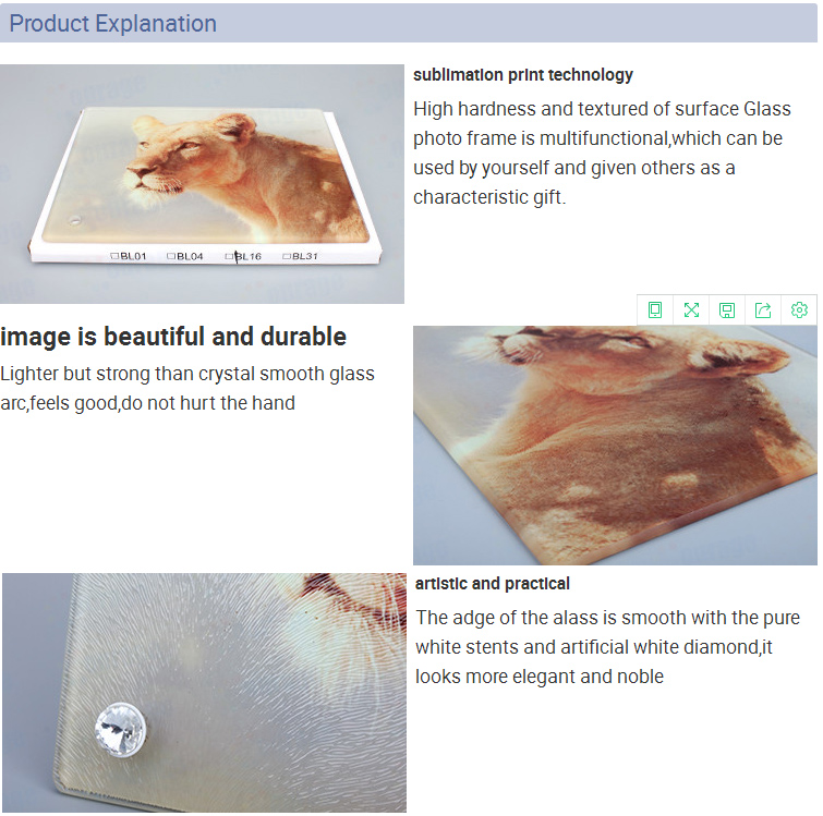 8 inches of golden frame BL16 (2)