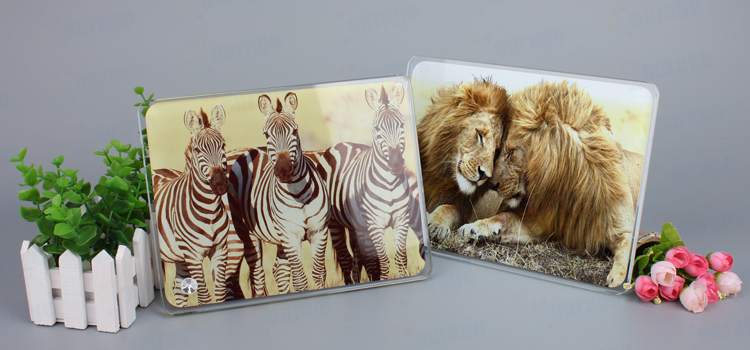 8inch Rounded crystal photo frame BL06 (7)