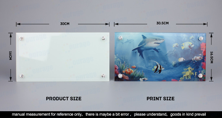 Glass Frame BL29 (10)