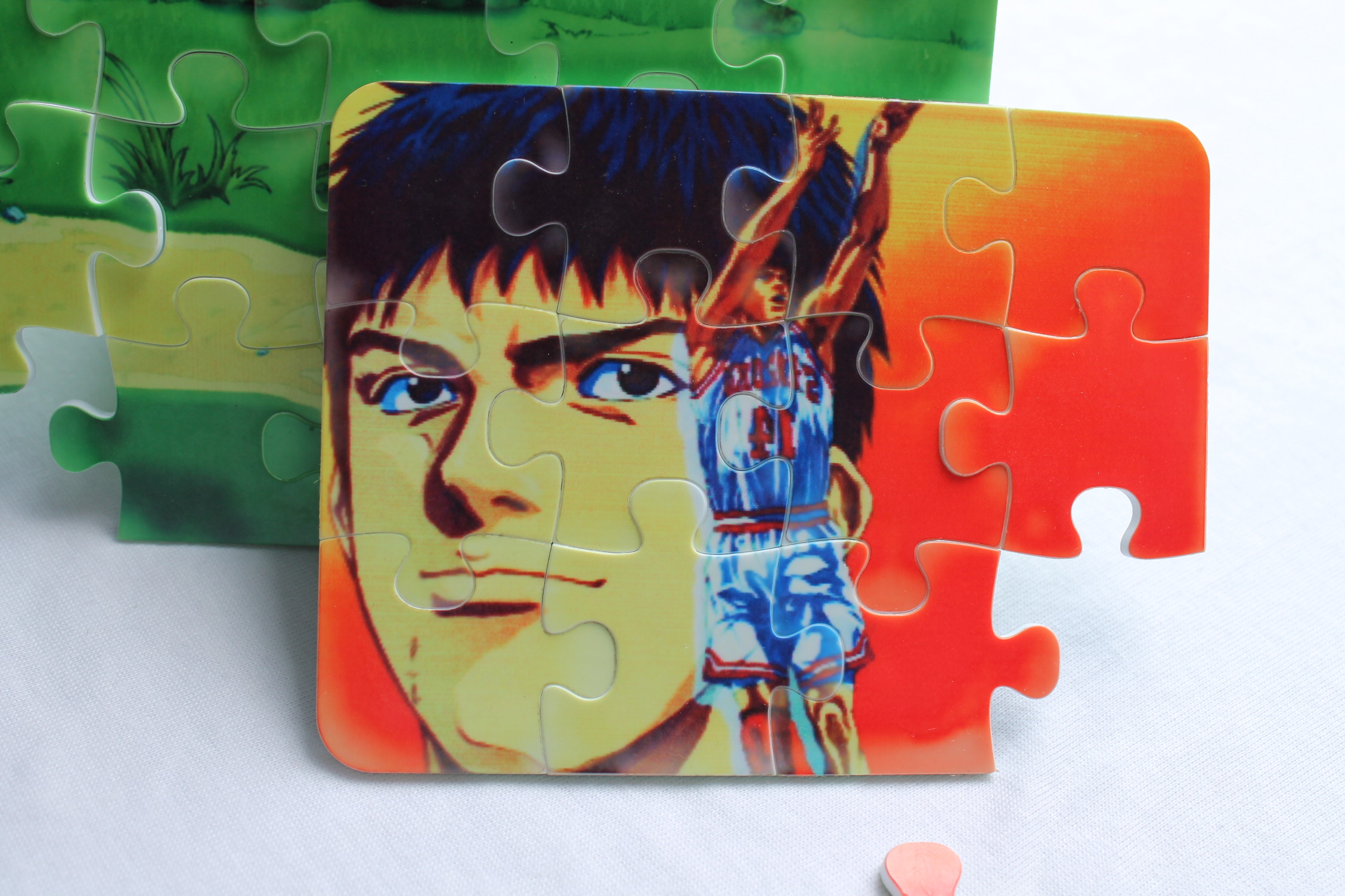 plastic puzzle (8)